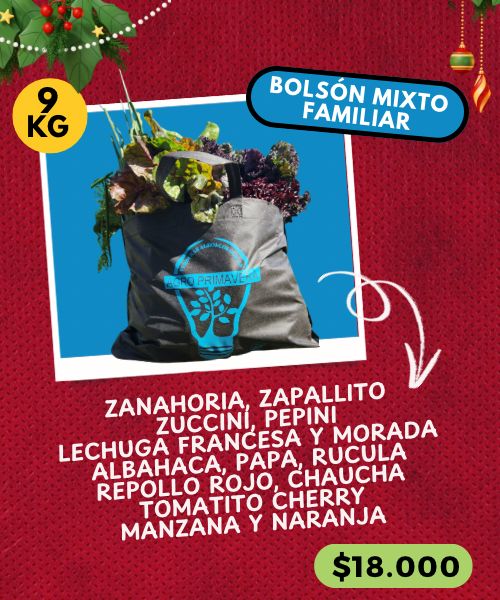 BOLSÓN NAVIDEÑO FAMILIAR