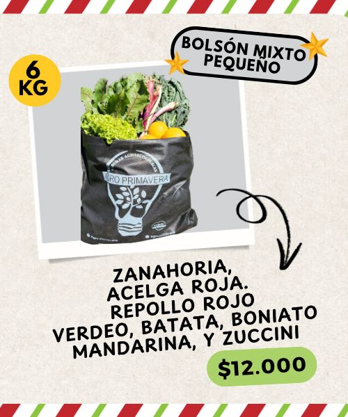 BOLSÓN MIXTO PEQUEÑO