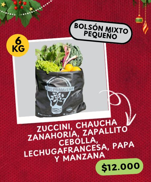 BOLSÓN NAVIDEÑO PEQUEÑO