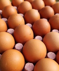 Alternative view of MAPLE DE HUEVOS