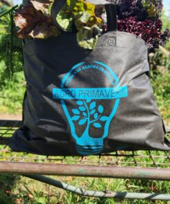 Alternative view of BOLSÓN MIXTO FAMILIAR