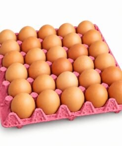 MAPLE DE HUEVOS