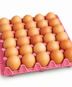 MAPLE DE HUEVOS