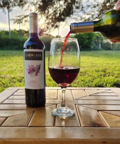 ESENCIAS DE LA TIERRA CABERNET SAUVIGNON + bolsa temática de regalo