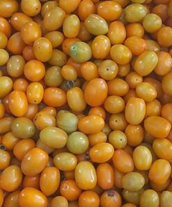 TOMATE CHERRY AMARILLO 750GRS