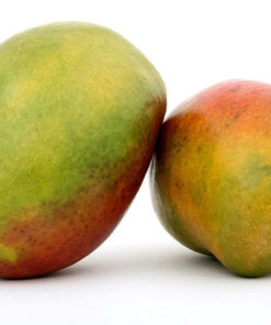 MANGO ORGÁNICO x 2 unidades