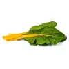 ACELGA PENCA AMARILLA