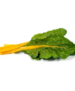 ACELGA PENCA AMARILLA