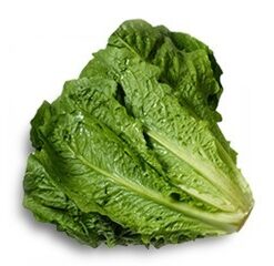 LECHUGA CRIOLLA x 1 unidad