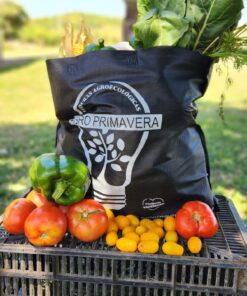 Alternative view of BOLSÓN MIXTO PEQUEÑO