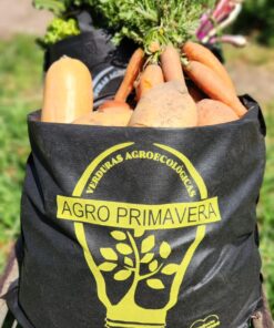 Alternative view of BOLSÓN PESADO