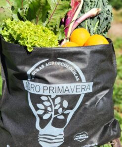 BOLSÓN MIXTO PEQUEÑO