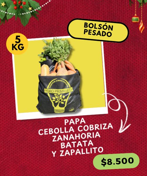 BOLSÓN NAVIDEÑO PESADO