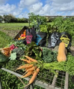 Alternative view of BOLSÓN FRUTAL
