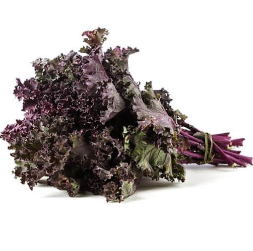 KALE MORADO
