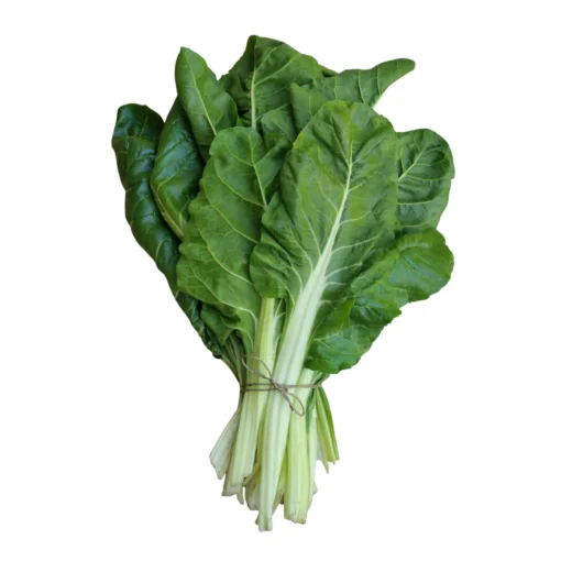 ACELGA