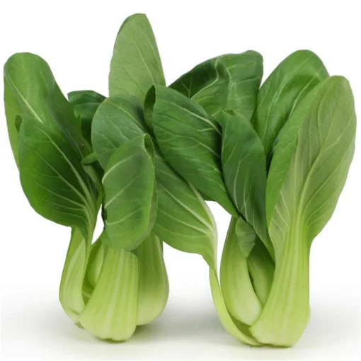 PACK CHOI