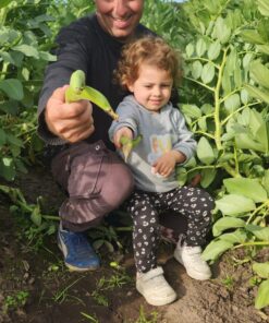 Alternative view of HABAS