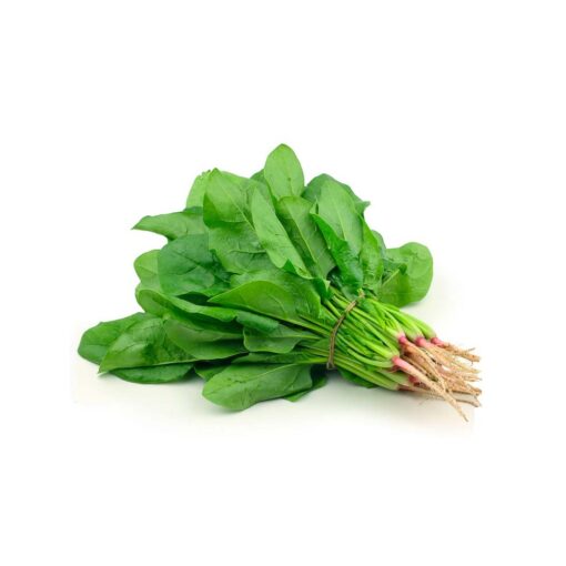 ESPINACA
