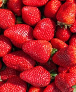 FRUTILLAS 1kg