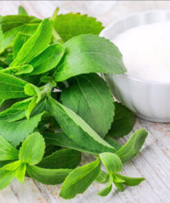 STEVIA