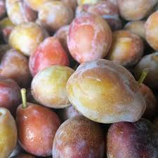 CIRUELA GOTITA orgánica x 1kg